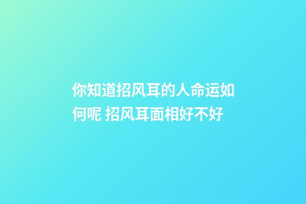 你知道招风耳的人命运如何呢 招风耳面相好不好